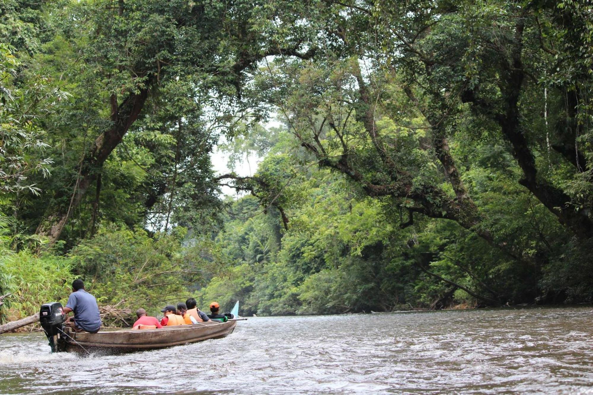 Dtahan Motel Taman Negara Kuala Tahan Εξωτερικό φωτογραφία